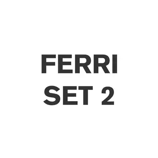 Ferri Flail Set 2