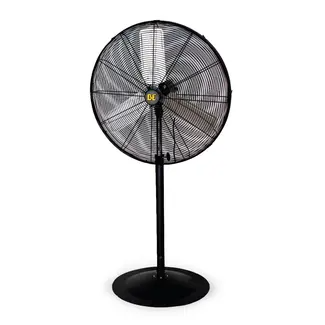 Pedestal Fans